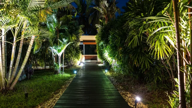 Home Decor and Garden